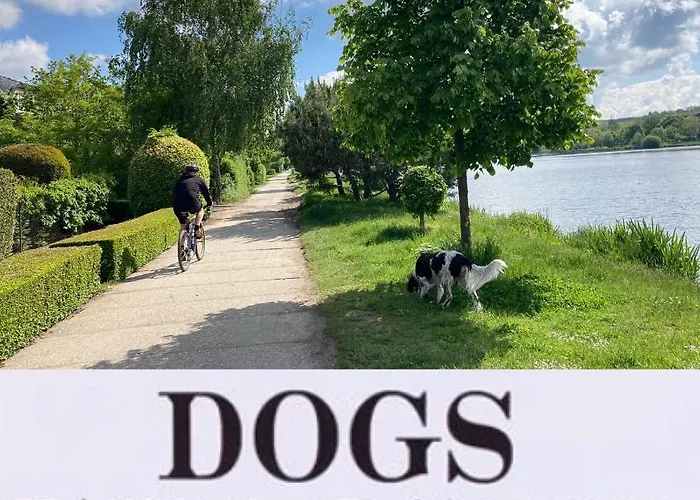 Near The Pond * Praag